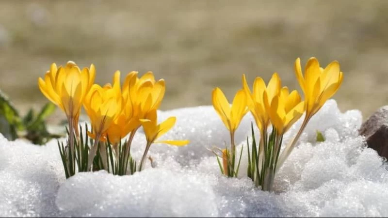 Евтропиев день 16 марта 2025 года имеет свои традиции, обряды и приметы