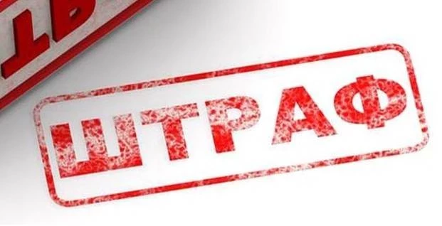 Посадил мимозу — получил срок: Юрист напомнил, какие растения запрещено сажать на даче в РФ