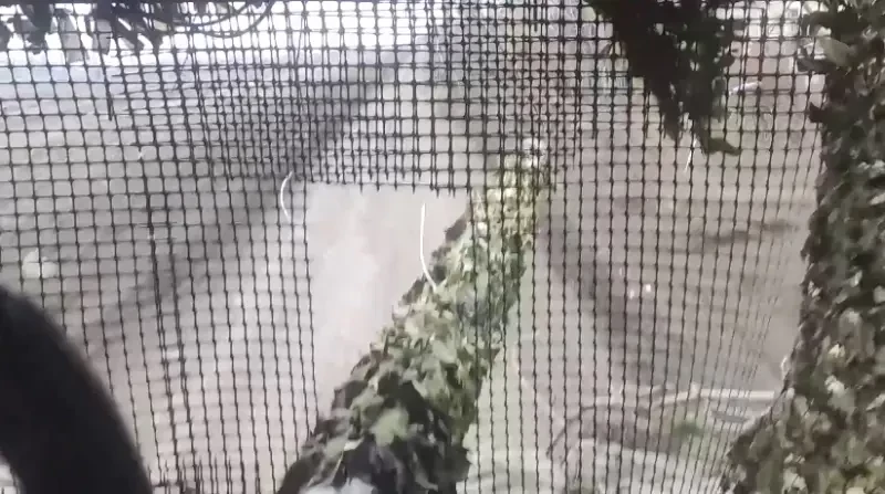 Противник опасается, что продвижение ВС РФ в сумской Владимировке может позволить выйти в тыл Юнаковской группировке ВСУ