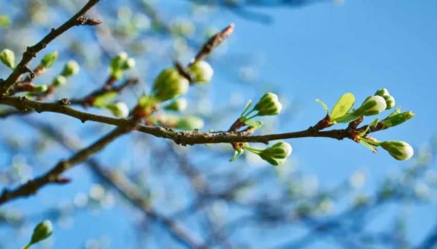 Приметы и поверья на 4 апреля 2025 года подскажут, каким будет урожай