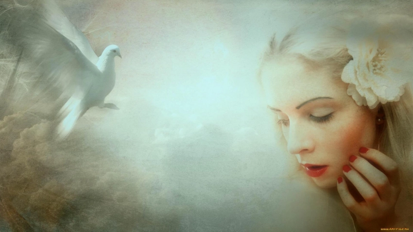 Феникс, голубь или орел: узнайте по месяцу рождения, какая птица — ваш покровитель