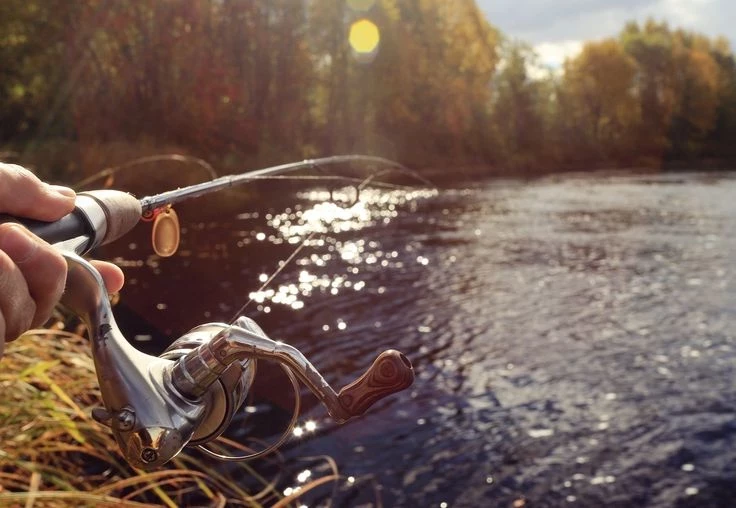 Будет «клево»: благоприятные дни для рыбалки по лунному календарю на июнь 2025