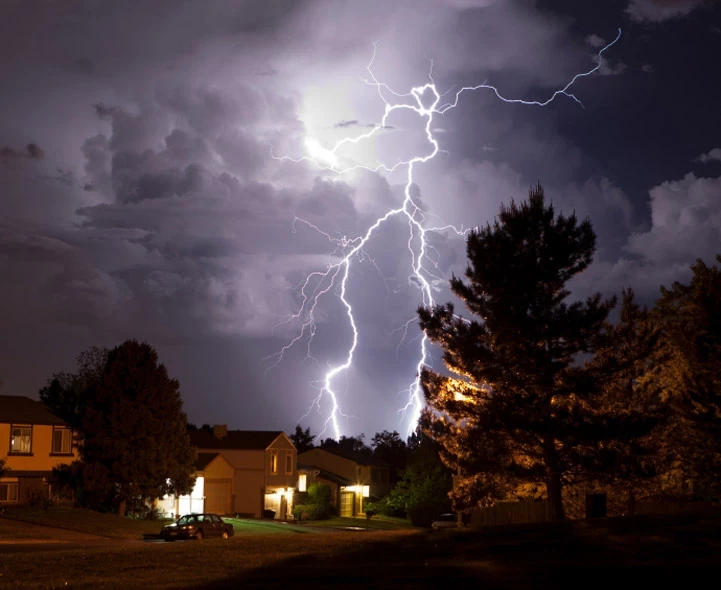 Мишень для молнии: какие 5 деревьев нельзя сажать на участке