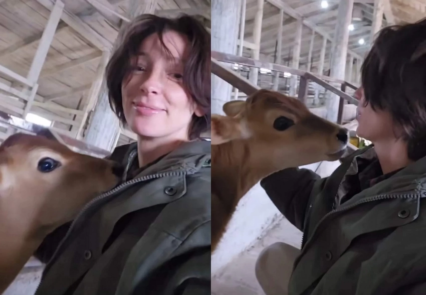 Телёнок Юрий и прогулки с мужем в поле: Настя Ивлеева показала, как проводит время в деревне