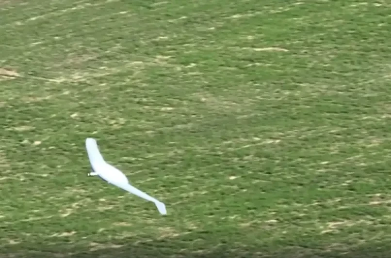 Показана работа системы уклонения от FPV-перехватчиков на разведывательном БПЛА «Альбатрос М5»