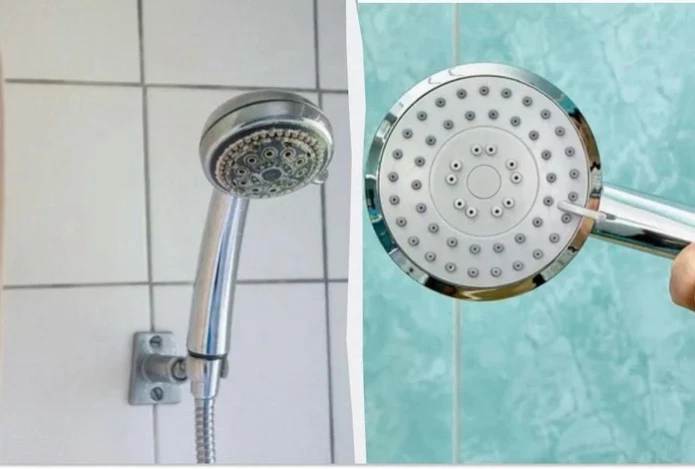 Как очистить лейку душа до скрипа: будет как новая