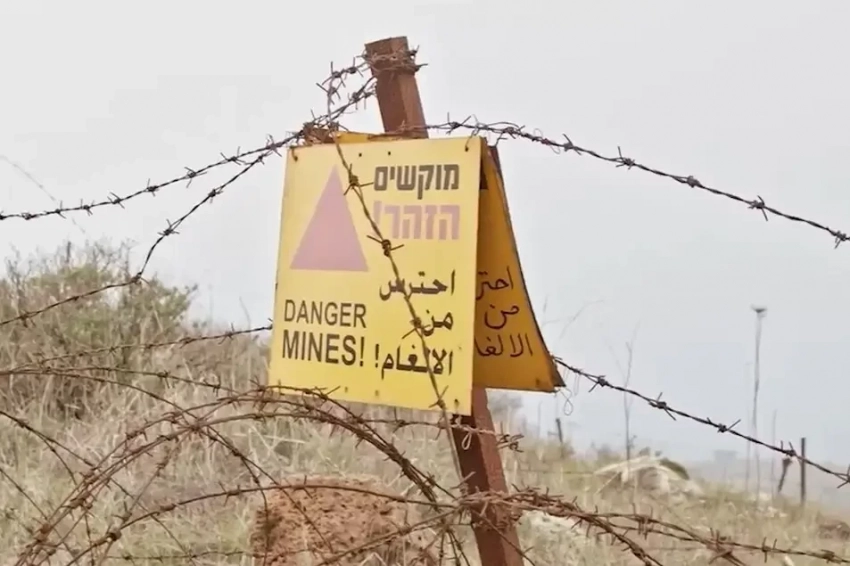 Депутаты парламента Финляндии высказались за выход страны из конвенции по запрету противопехотных мин