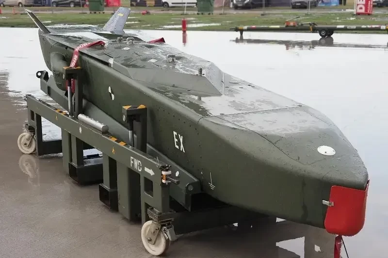 «Есть несколько вариантов»: Немецкие и украинские эксперты сомневаются, что генерал Фройдинг говорил о передаче Киеву ракет Taurus