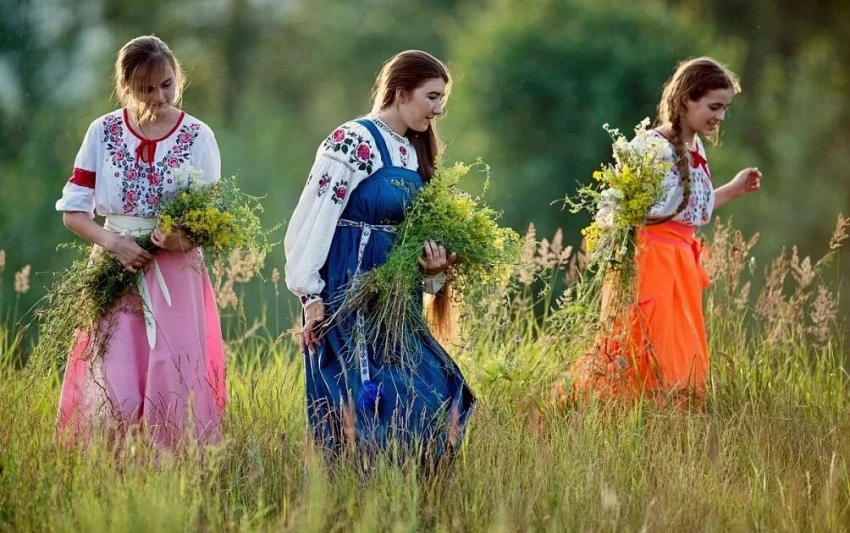 Какие 10 трав нужно собрать в ночь Ивана Купалы с 6 на 7 июля, иначе удачи не видать