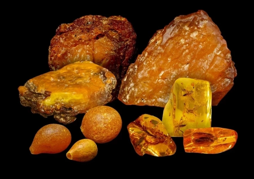 В Москве состоялась официальная демонстрация лотов Международного янтарного аукциона