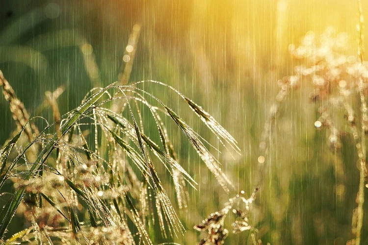 Традиции, запреты, приметы, поверья на 12 августа 2025 года, в день Силы и Силуана