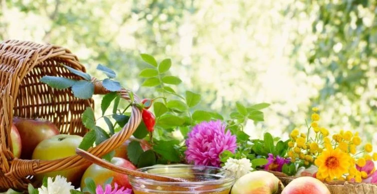 В праздновании Медового Спаса 14 августа 2025 года тесно переплетаются народные и христианские традиции