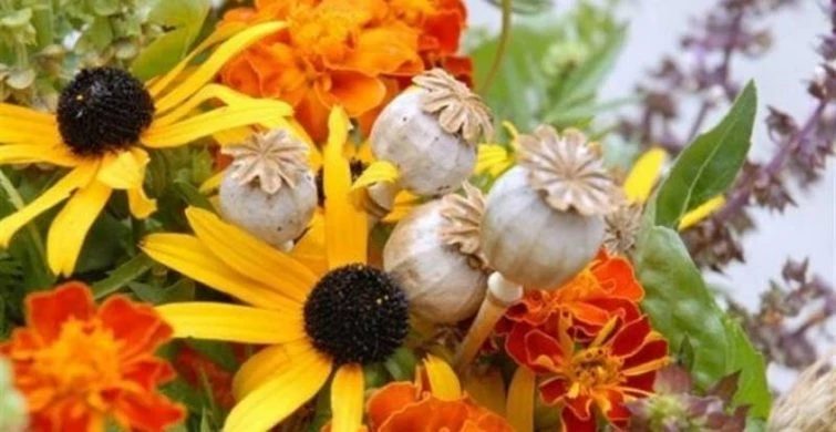 Открытки и поздравления с Медовым Спасом 14 августа 2025 года понравятся всем православным