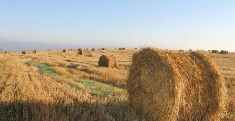 Православная церковь 15 августа 2025 года празднует перенесение мощей Святого первомученика архидьякона Стефана