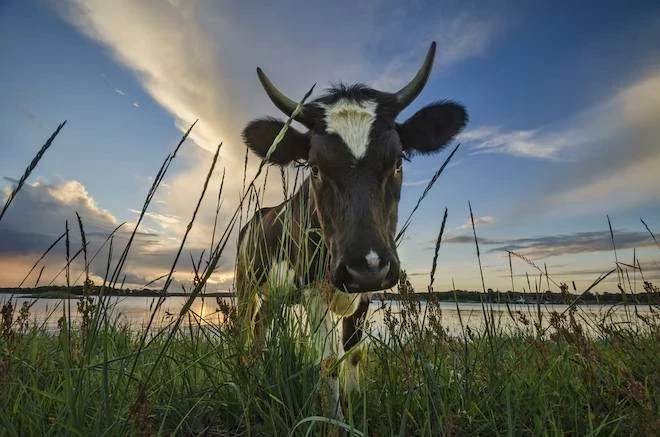 Церковный и народный праздник 22 августа 2025 года: традиции, молитвы, поверья, приметы