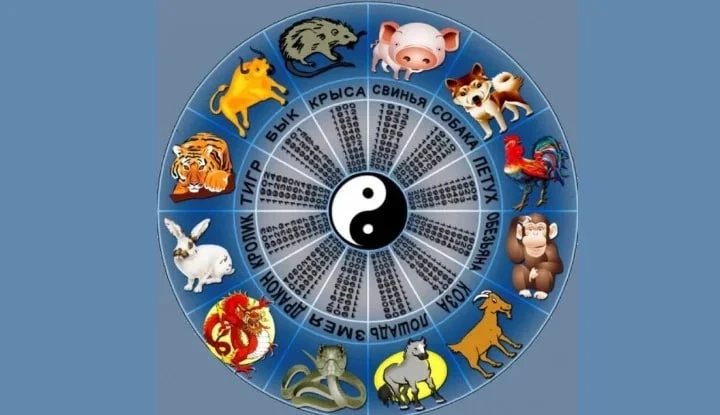 Пора действовать: восточный гороскоп на неделю с 8 по 14 сентября 2025 года