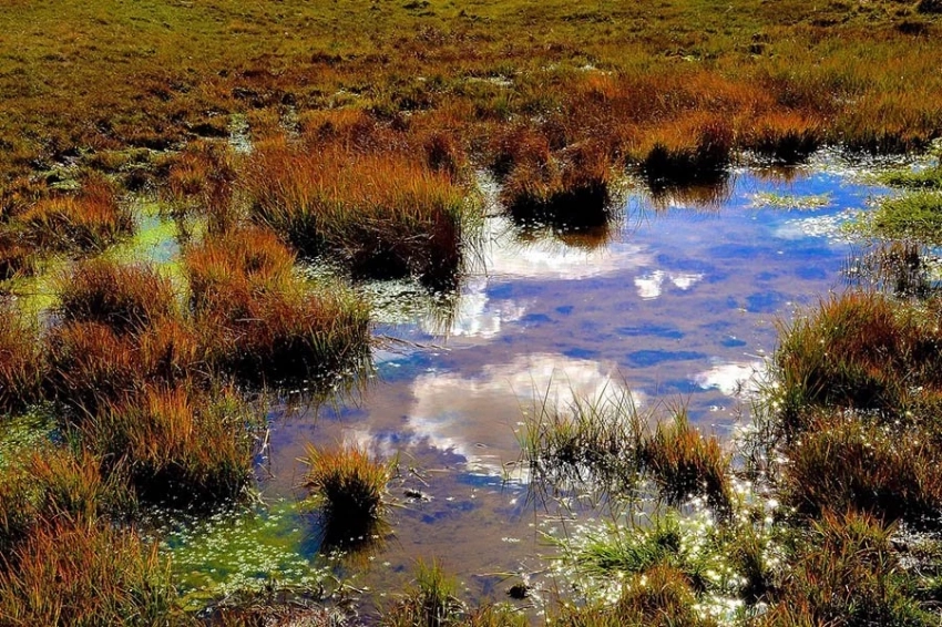 Ради «защиты от России» Прибалтика возвращается в эпоху болот