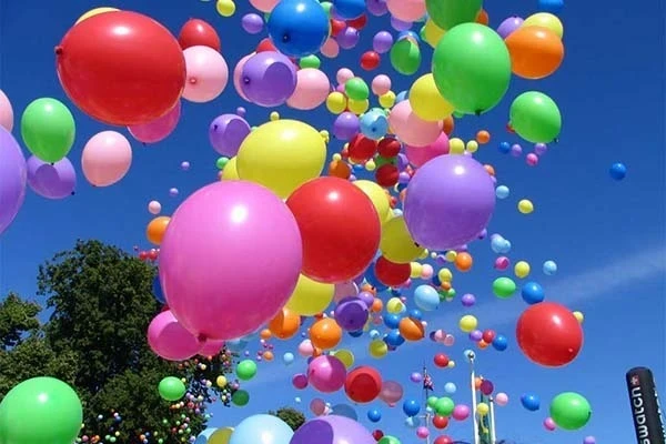 Международные и всероссийские праздники, отмечаемые 29 ноября