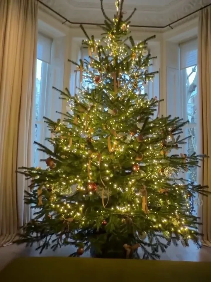 Виктория Бекхэм и Виктория Лопырёва предпочли "классику", а Рената Литвинова и Виктория Шелягова "ностальгируют" по СССР. Как звёзды украшают свои ёлки