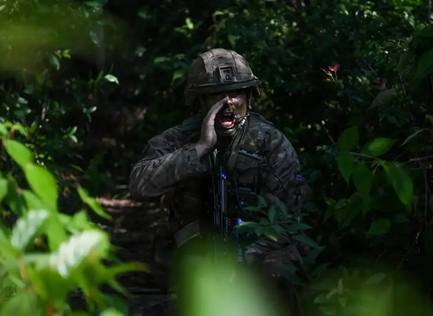 Английский юмор: Британия отправит на помощь Гренландии одного военнослужащего