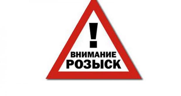 Пропавший в тайге в Амурской области десятилетний мальчик найден живым