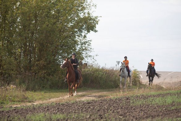 В Орловской области конный отряд «Лиза Алерт» попробовал свои силы в полевых условиях