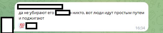 «Снег закончился, пришел пух»: петербуржцы критикуют городские власти из-за игнорирования проблемы