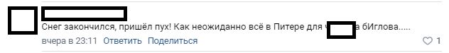 «Снег закончился, пришел пух»: петербуржцы критикуют городские власти из-за игнорирования проблемы